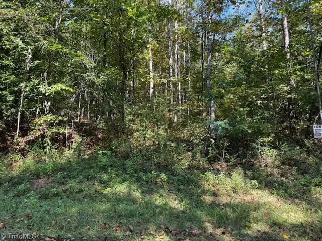 $27,900 | 7 Arlie Myers Store Road, McGrady, NC 28649