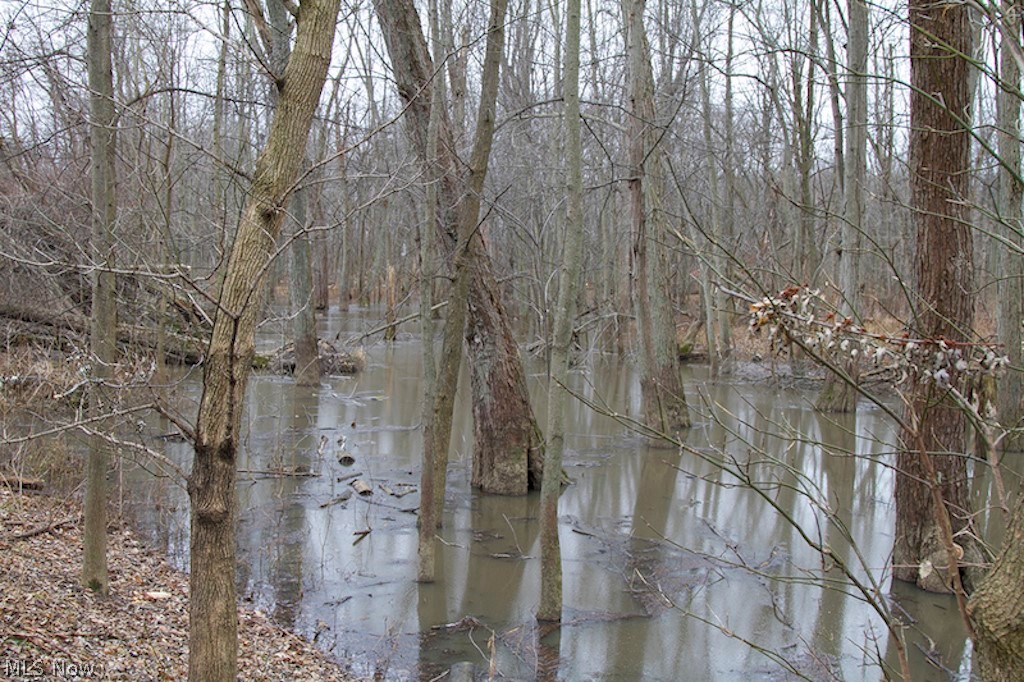 34 State Route Edon, OH 43518 - Photo 13 of 23