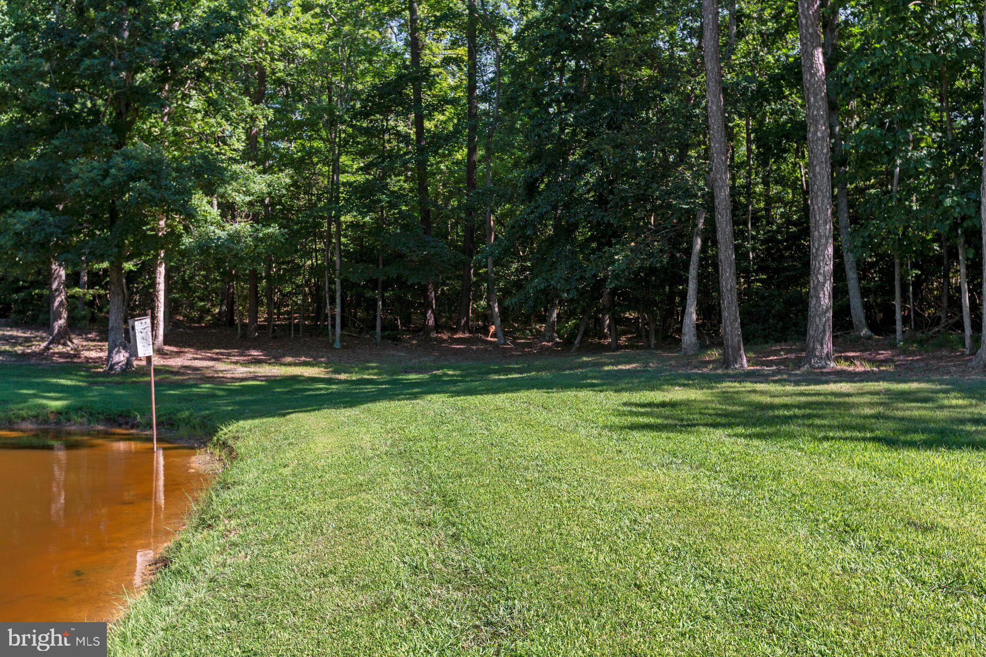 17339 Three Notch Road Dameron, MD 20628 - Photo 8 of 36