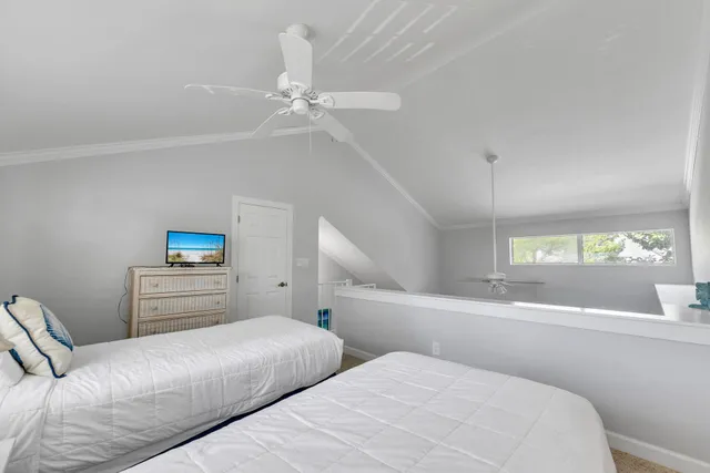 a view of a yard with plants and trees