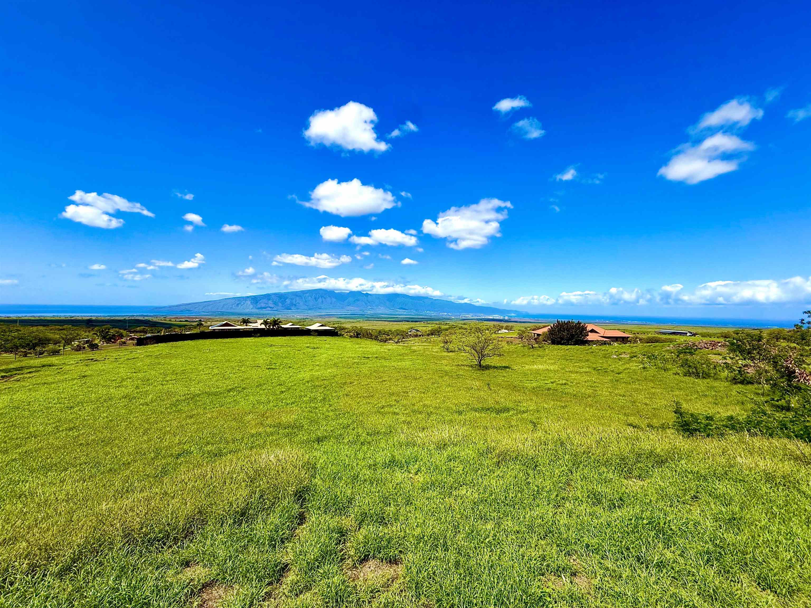 15 Apali Way Kula, HI 96790 - Photo 8 of 10