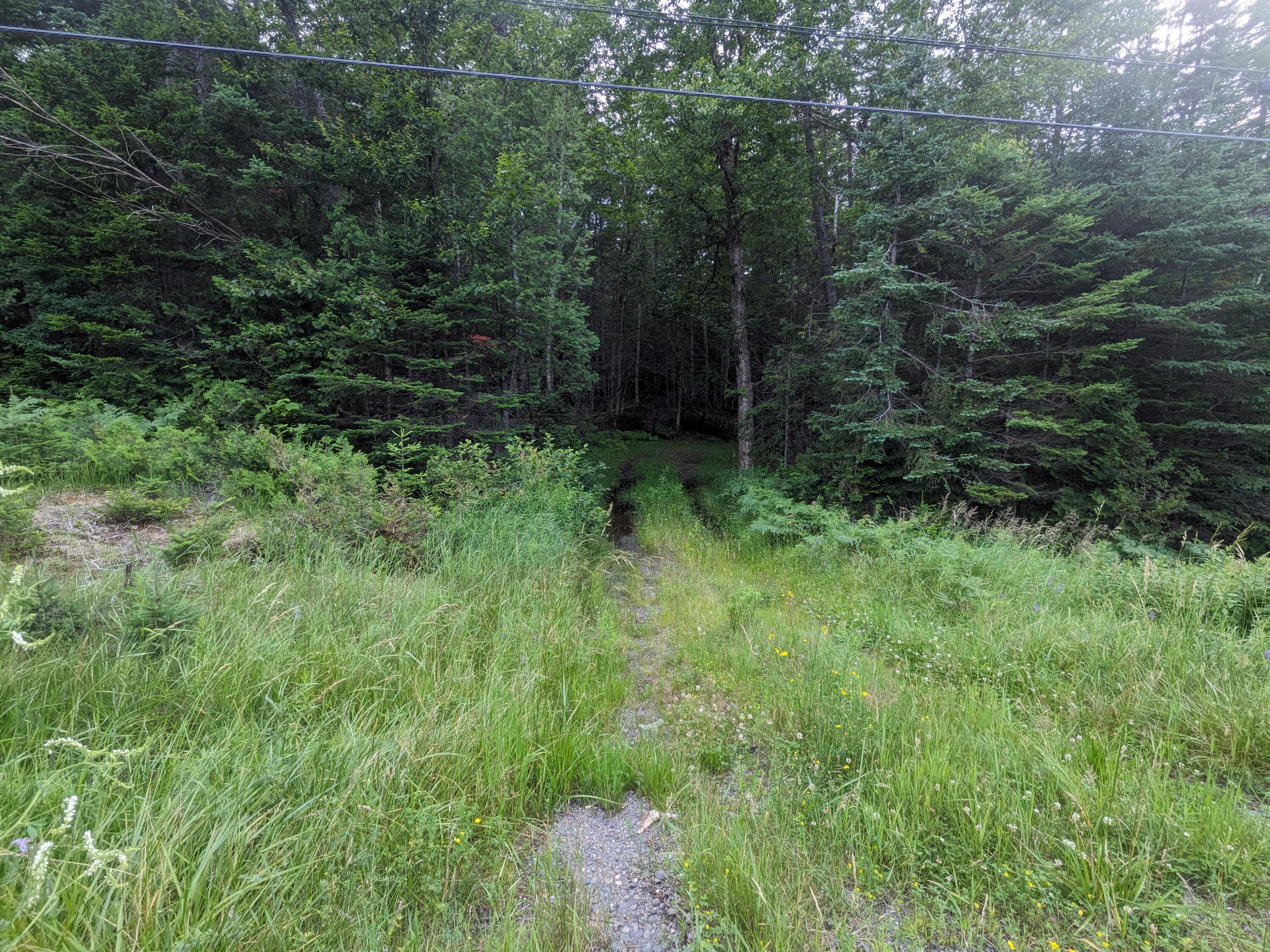 2 Greenville Road Shirley Mills, ME 04485 - Photo 35 of 40 PXL_20230715_211903441