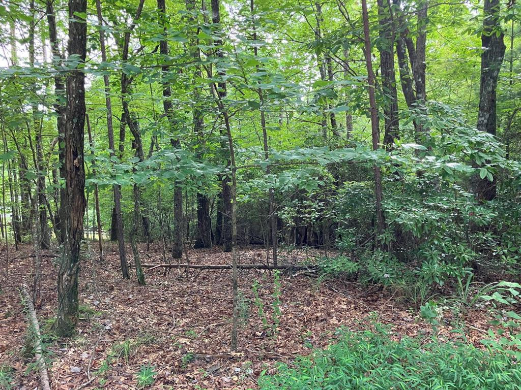 41 Floris Murphy, NC 28906 - Photo 1 of 11 Main View