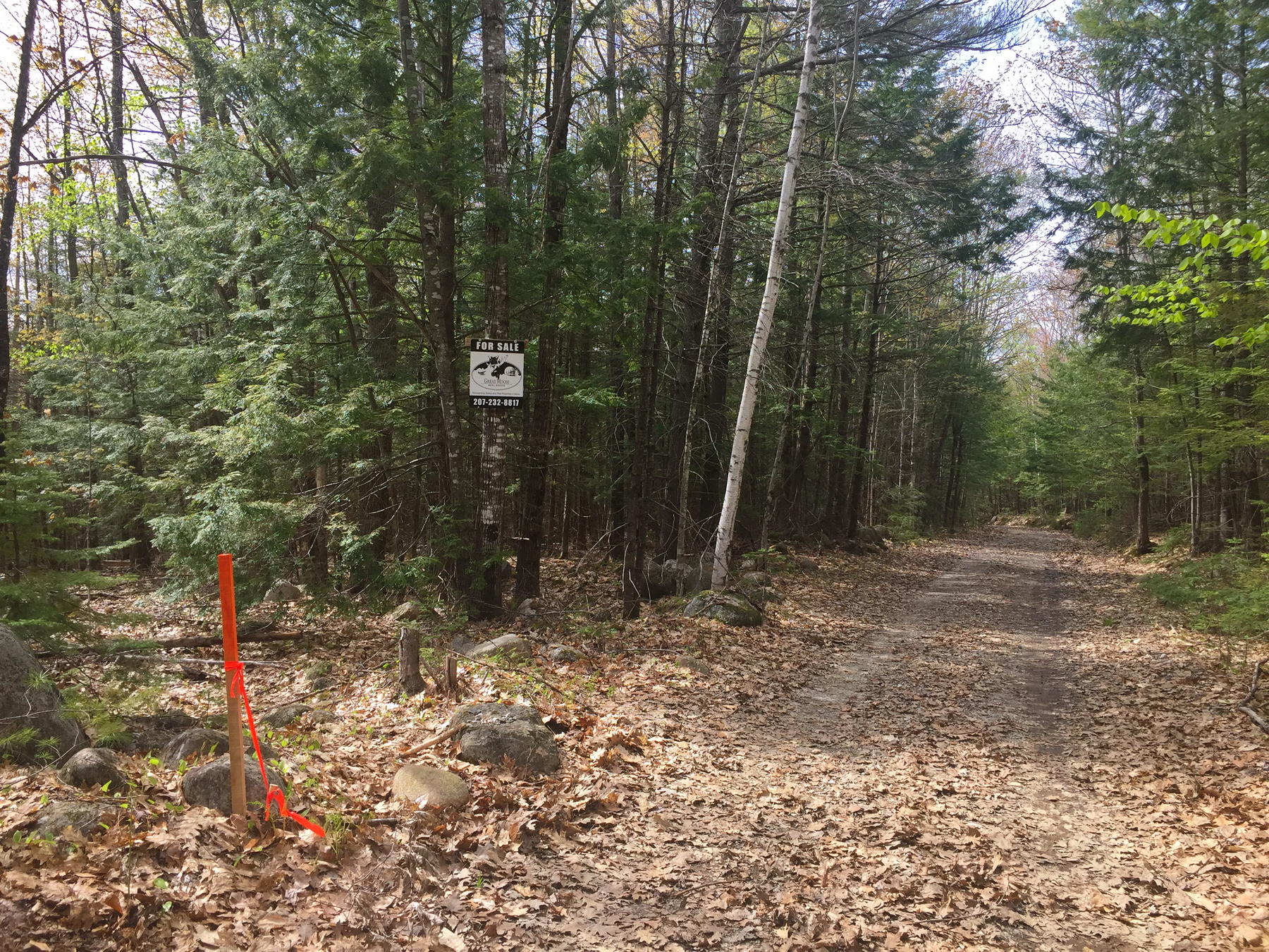 40 Moose Pond Road Otisfield, ME 04270 - Photo 2 of 12 IMG_4443