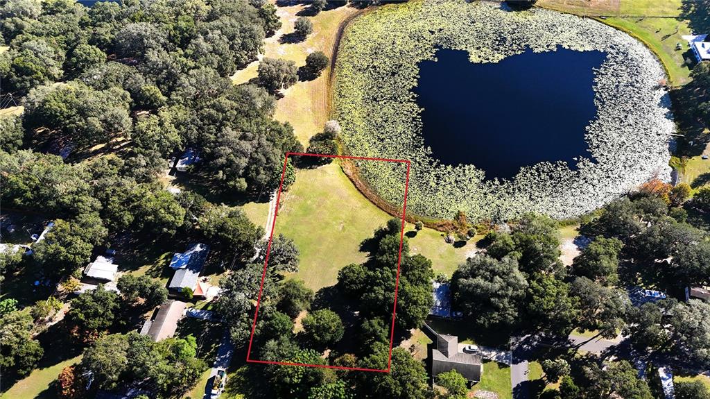 140 East Lemon Street Lady Lake, FL 32159 - Photo 13 of 18 a view of a garden