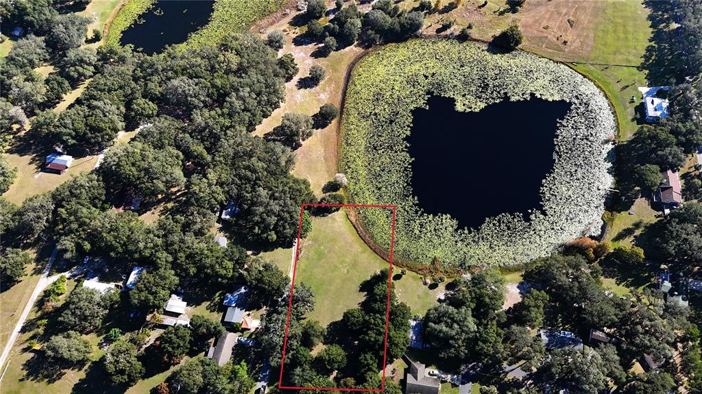 140 East Lemon Street Lady Lake, FL 32159 - Photo 14 of 18 a view of a garden