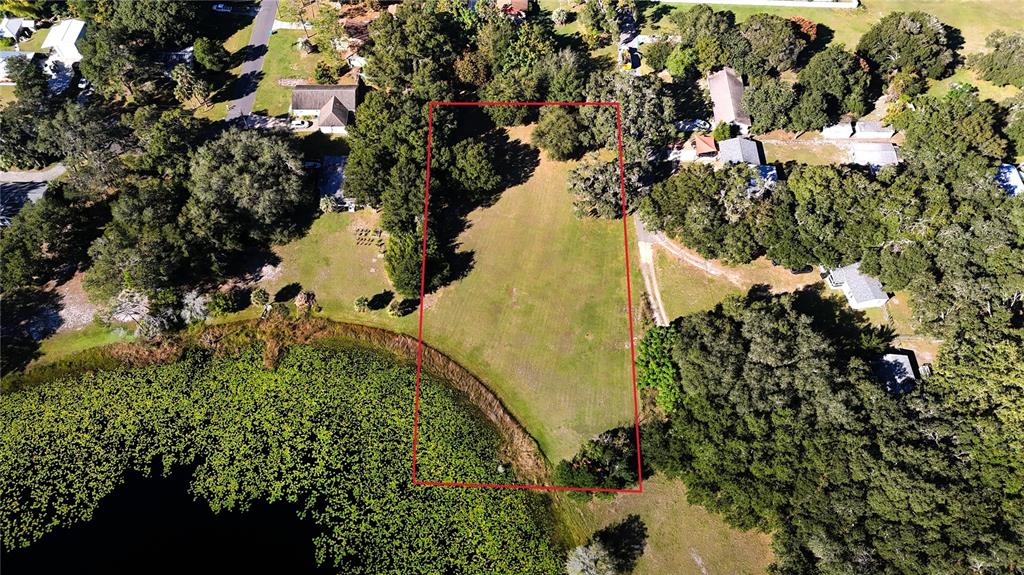 140 East Lemon Street Lady Lake, FL 32159 - Photo 16 of 18 a view of a garden