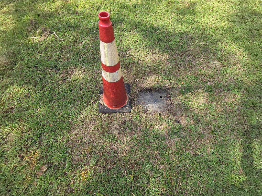 140 East Lemon Street Lady Lake, FL 32159 - Photo 5 of 18 a fire hydrant in middle of the forest
