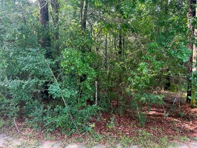 Tbd Shannan Road Opp, AL 36467 - Photo 13 of 20 Gallery Image 13