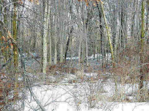 7720 South Gale Road Morrice, MI 48857 - Photo 24 of 25 20395537-23.JPG