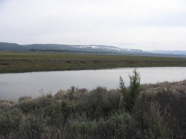 Lot 7 Drews Road Chiloquin, OR 97639 - Photo 10 of 14 5