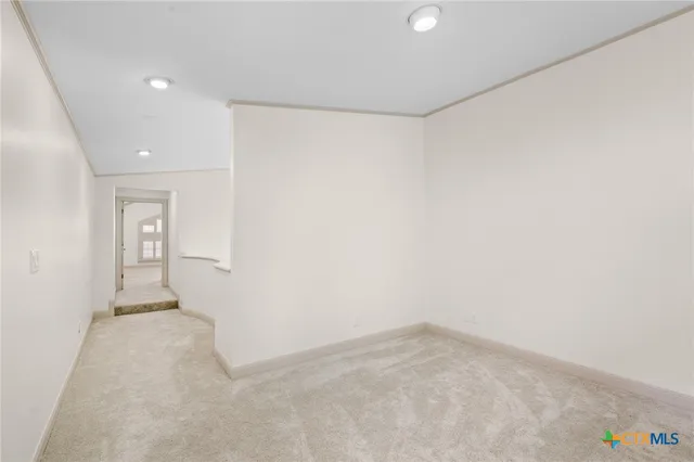 a view of a backyard with plants