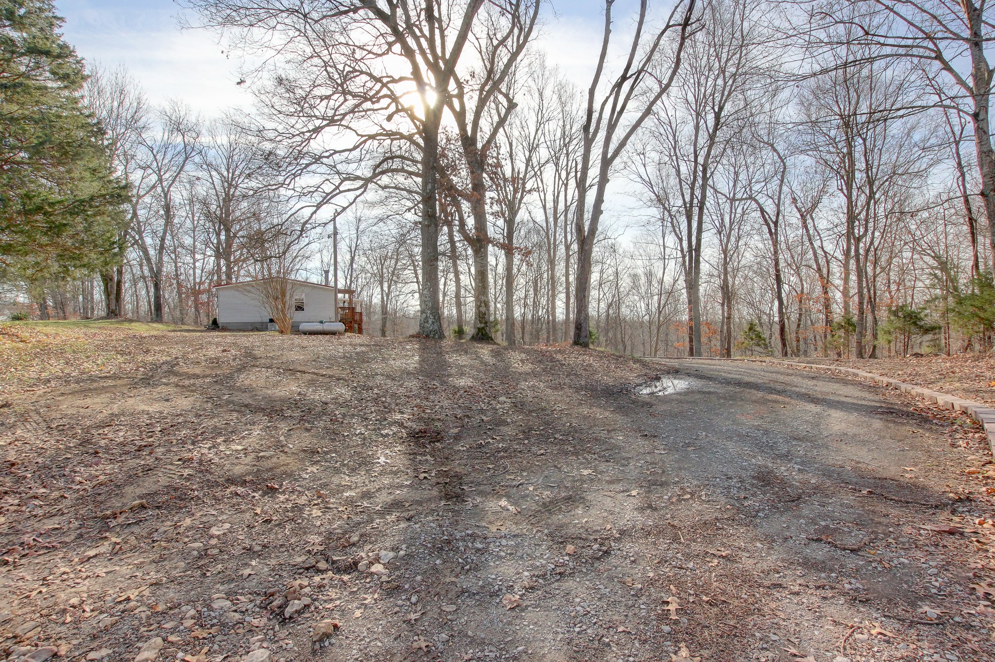 4358 Tarsus Road Palmyra, TN 37142 - Photo 5 of 65 Gallery Image 5