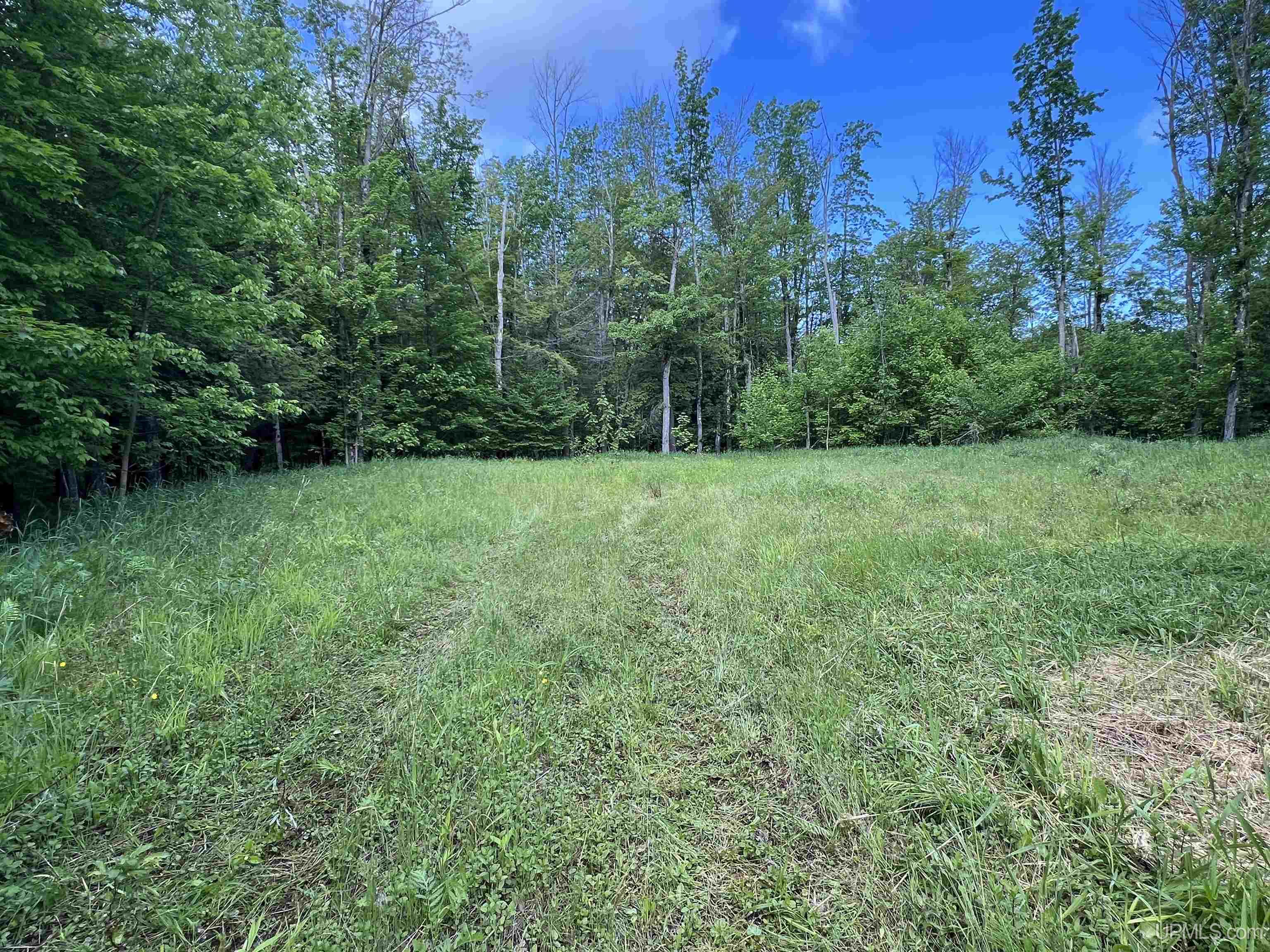 Tbd Roland Lake Road Skanee, MI 49962 - Photo 16 of 18
