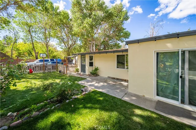 a view of a backyard with plants and large tree