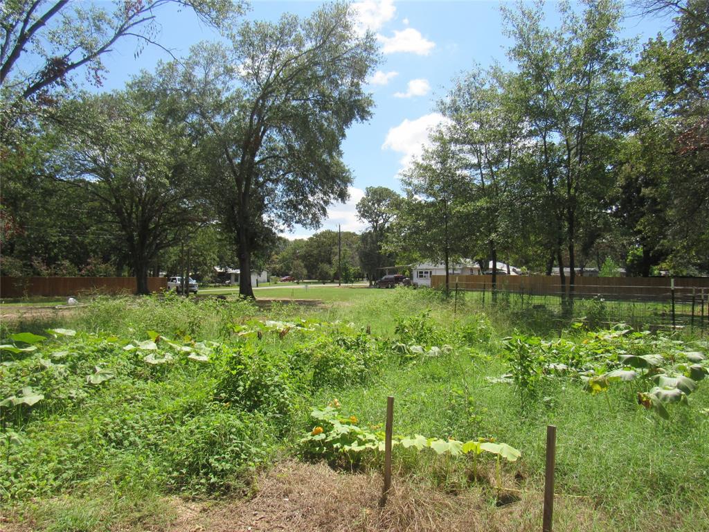 7305 Lakeview Drive Bonham, TX 75418 - Photo 13 of 19 a view of outdoor space and yard