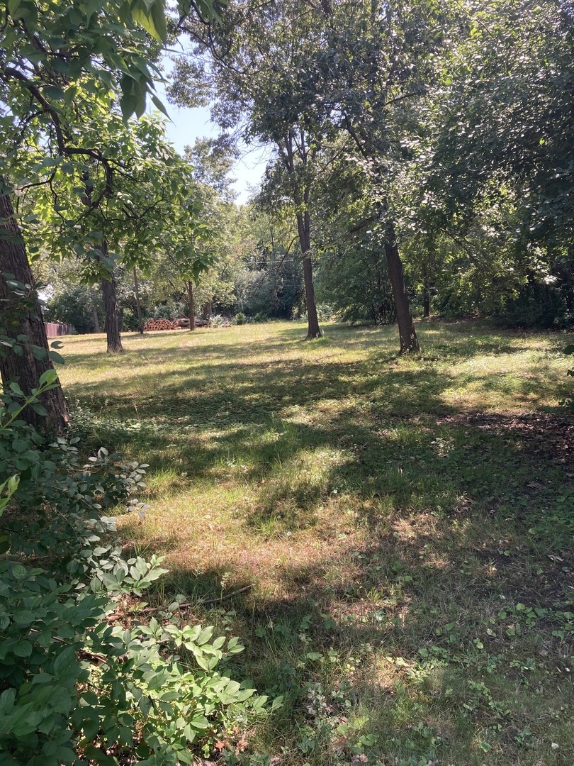 27W429 Manchester Road Winfield, IL 60190 - Photo 2 of 4 a view of a house with a yard
