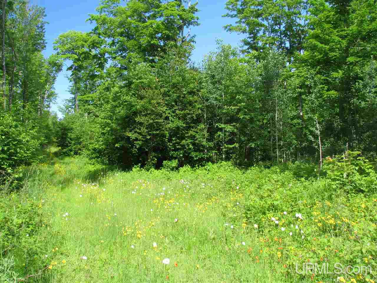Tbd Cemetery Road Grand Marais, MI 49839 - Photo 4 of 12 Gallery Image 4