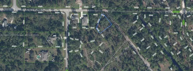 a view of river covered by trees