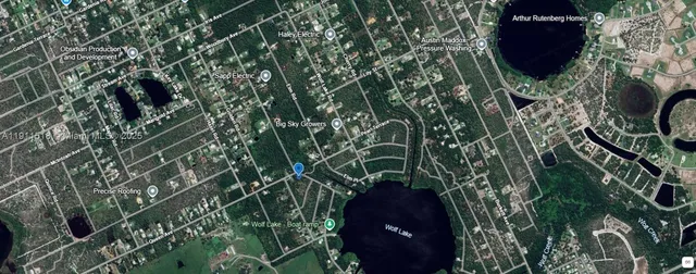 a close up of a plant in a garden