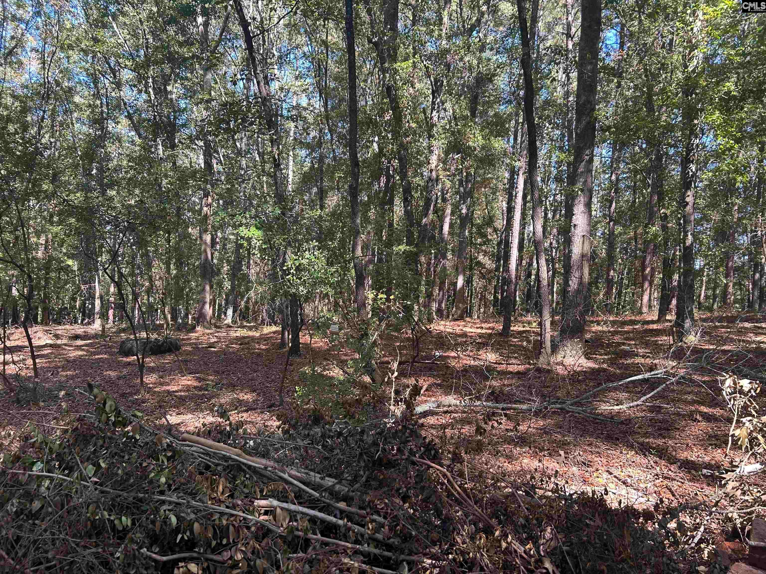 0 Swamp Rabbit Road Leesville, SC 29070 - Photo 3 of 55 Gallery Image 3