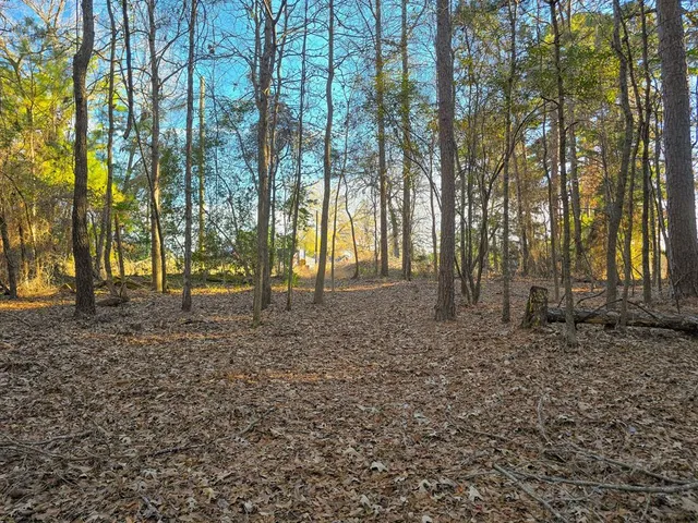 a view of outdoor space with trees