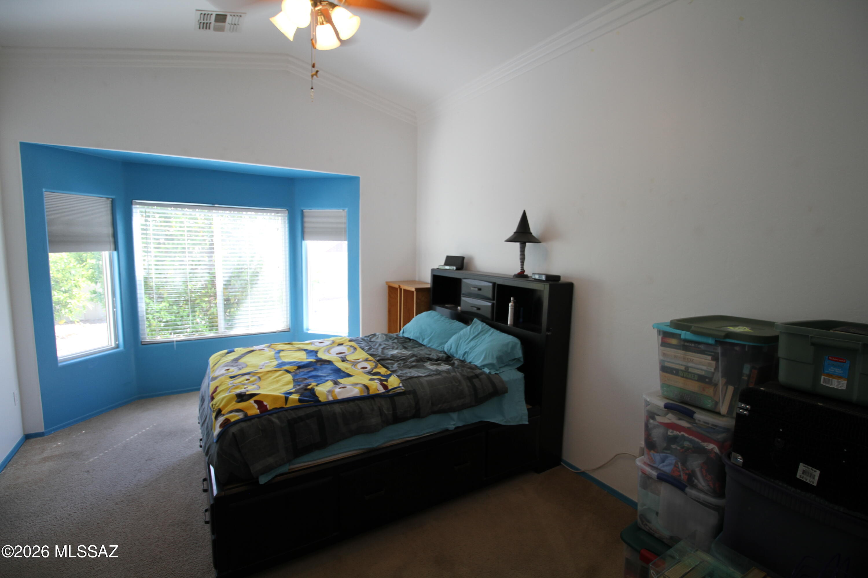 39166 Rodeo Buckle Drive Tucson, AZ 85739 - Photo 12 of 17