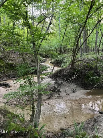 $379,500 | 0 Ashley Road, Brandon, MS 39042