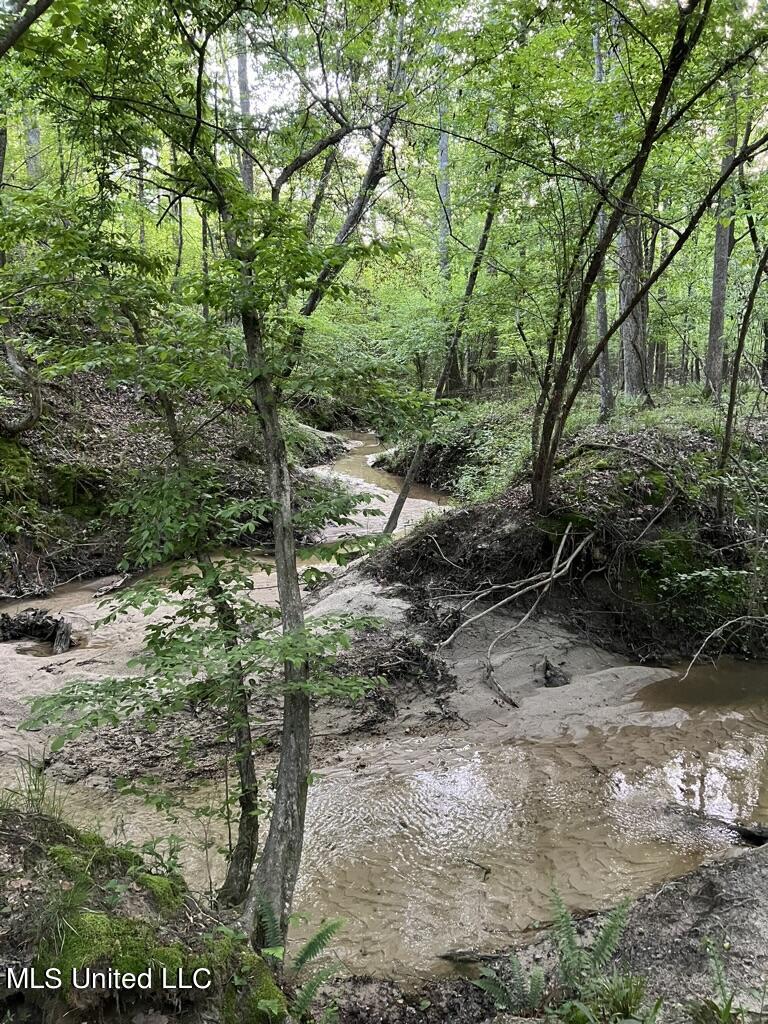 Beautiful Acreage in Rankin County