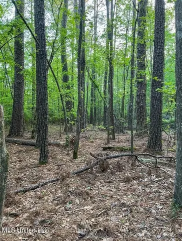 $379,500 | 0 Ashley Road, Brandon, MS 39042