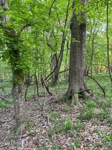 $379,500 | 0 Ashley Road, Brandon, MS 39042