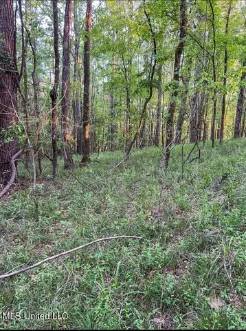 $379,500 | 0 Ashley Road, Brandon, MS 39042