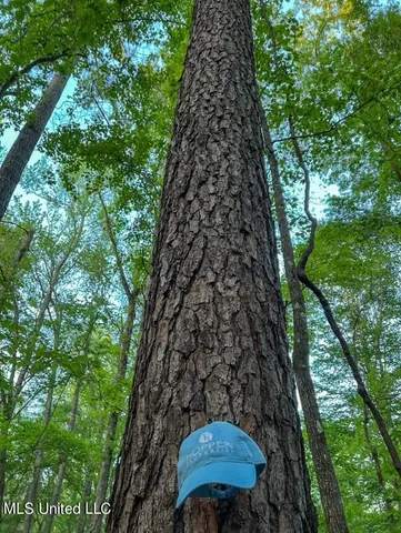 $379,500 | 0 Ashley Road, Brandon, MS 39042