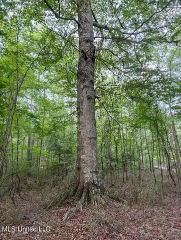 $379,500 | 0 Ashley Road, Brandon, MS 39042