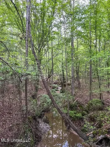 $379,500 | 0 Ashley Road, Brandon, MS 39042