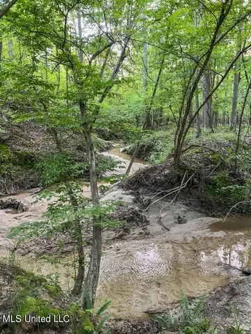 $379,500 | 0 Ashley Road, Brandon, MS 39042