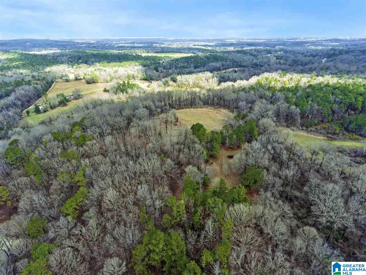 0 Spring Creek Road, Unit 30 AC Calera, AL 35040 - Photo 10 of 20