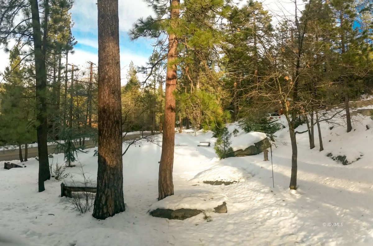 52790 Idyllmont Road Idyllwild, CA 92549 - Photo 56 of 65 a view of a backyard of the house