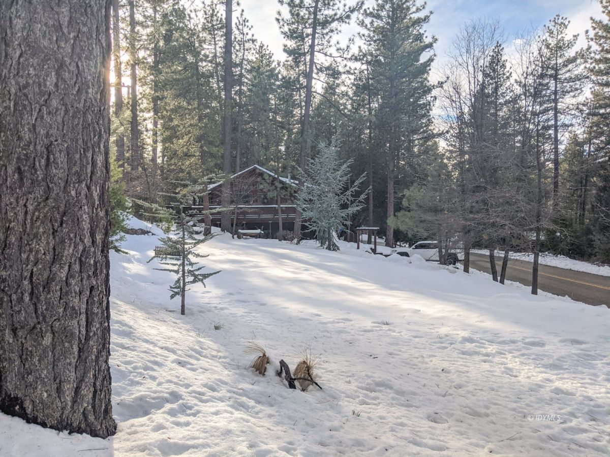52790 Idyllmont Road Idyllwild, CA 92549 - Photo 61 of 65 a view of outdoor space and yard
