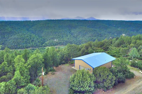 a view of a lush green forest with a house in the background