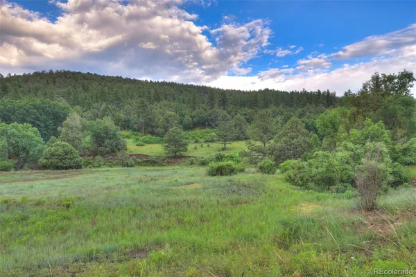 a view of a big yard with lots of green space