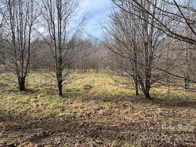Lot B Settle Road Inman, SC 29349 - Photo 2 of 3 a view of backyard of a house