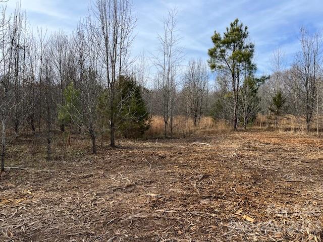 Lot B Settle Road Inman, SC 29349 - Photo 3 of 3 a view of backyard with green space