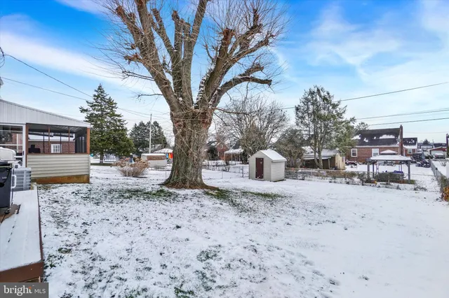 a white house that has a tree in front of it