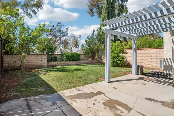 a view of a backyard with plants and trees
