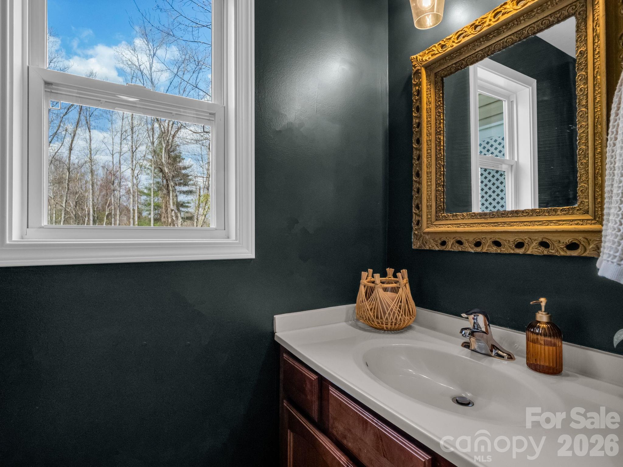 22 Macks Way Hendersonville, NC 28739 - Photo 17 of 42 a bathroom with a sink and a mirror