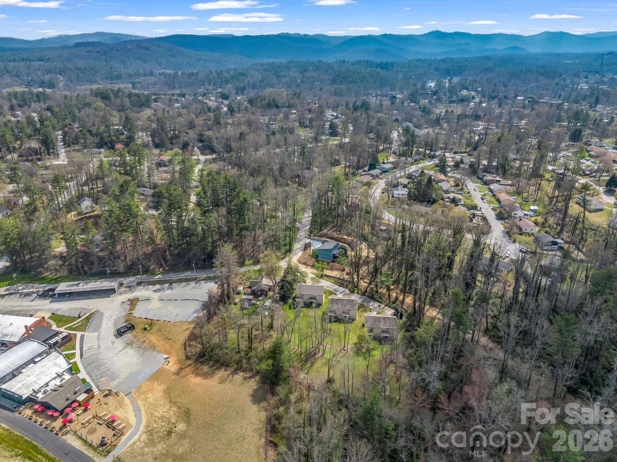 22 Macks Way Hendersonville, NC 28739 - Photo 34 of 42 a view of a city with mountains