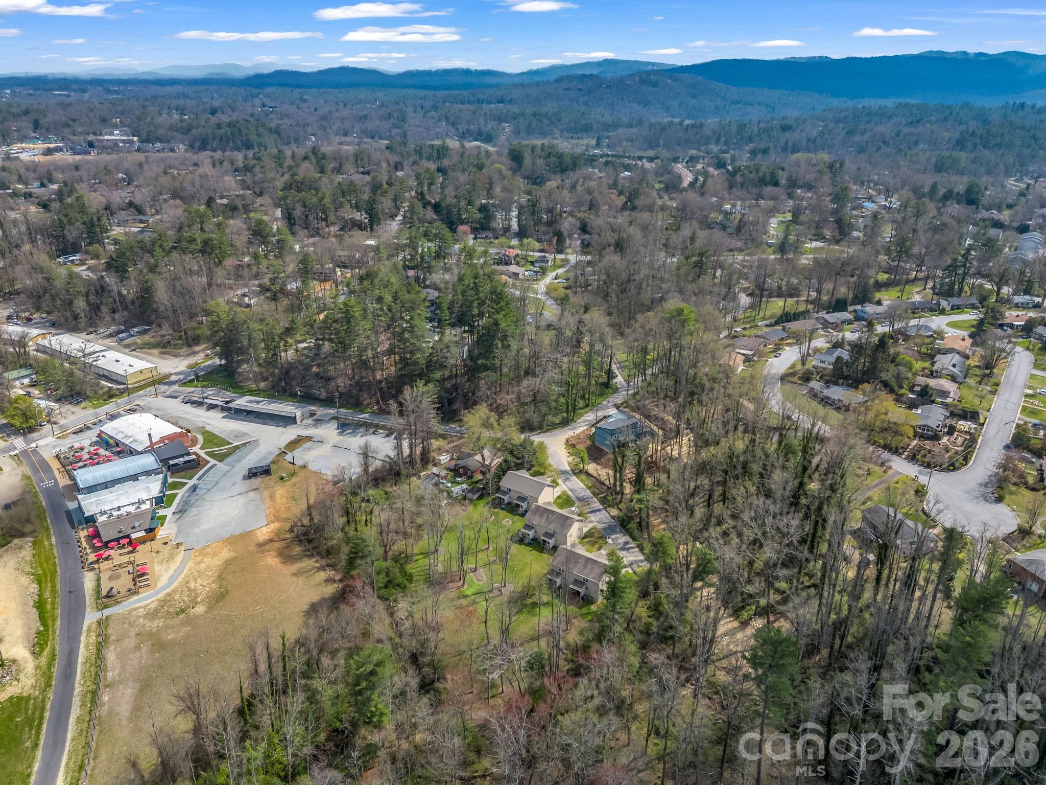 22 Macks Way Hendersonville, NC 28739 - Photo 40 of 42 a view of a city