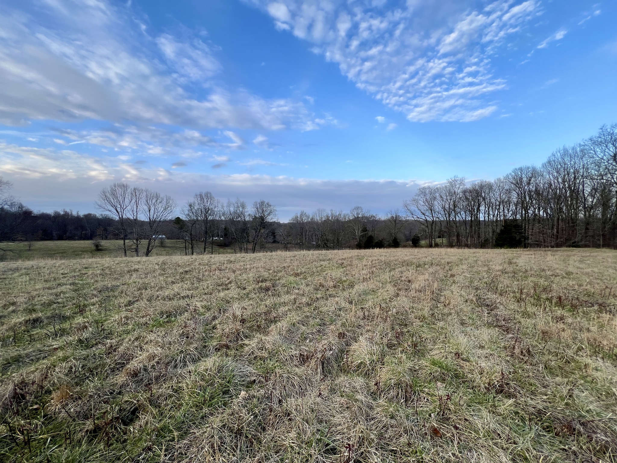 19 Gowen Road Leoma, TN 38468 - Photo 1 of 44