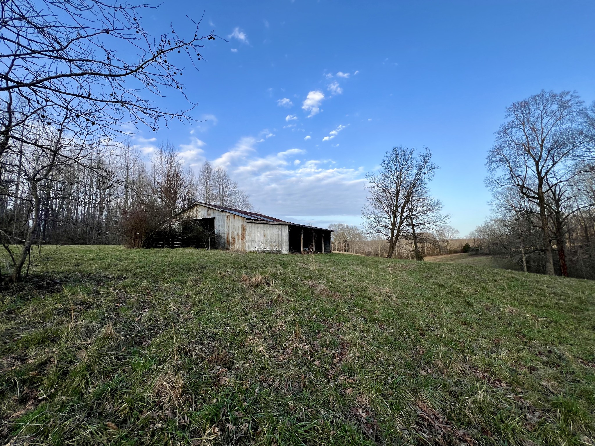 19 Gowen Road Leoma, TN 38468 - Photo 11 of 44